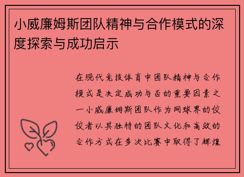 小威廉姆斯团队精神与合作模式的深度探索与成功启示